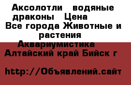 Аксолотли / водяные драконы › Цена ­ 500 - Все города Животные и растения » Аквариумистика   . Алтайский край,Бийск г.